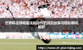 体总：占旭刚任举重摔跤柔道中心主任，王励勤任乒羽中心副主任